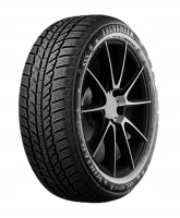 205/50R16 opona EVERGREEN EW 62 87H